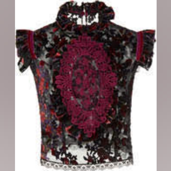 NWT Costarelos top